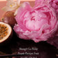 Bombshell Perfume